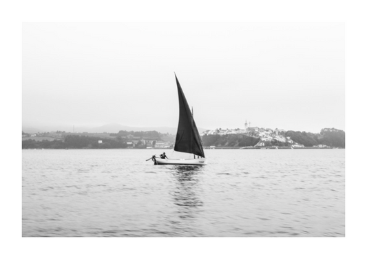 Main image Vela Latina